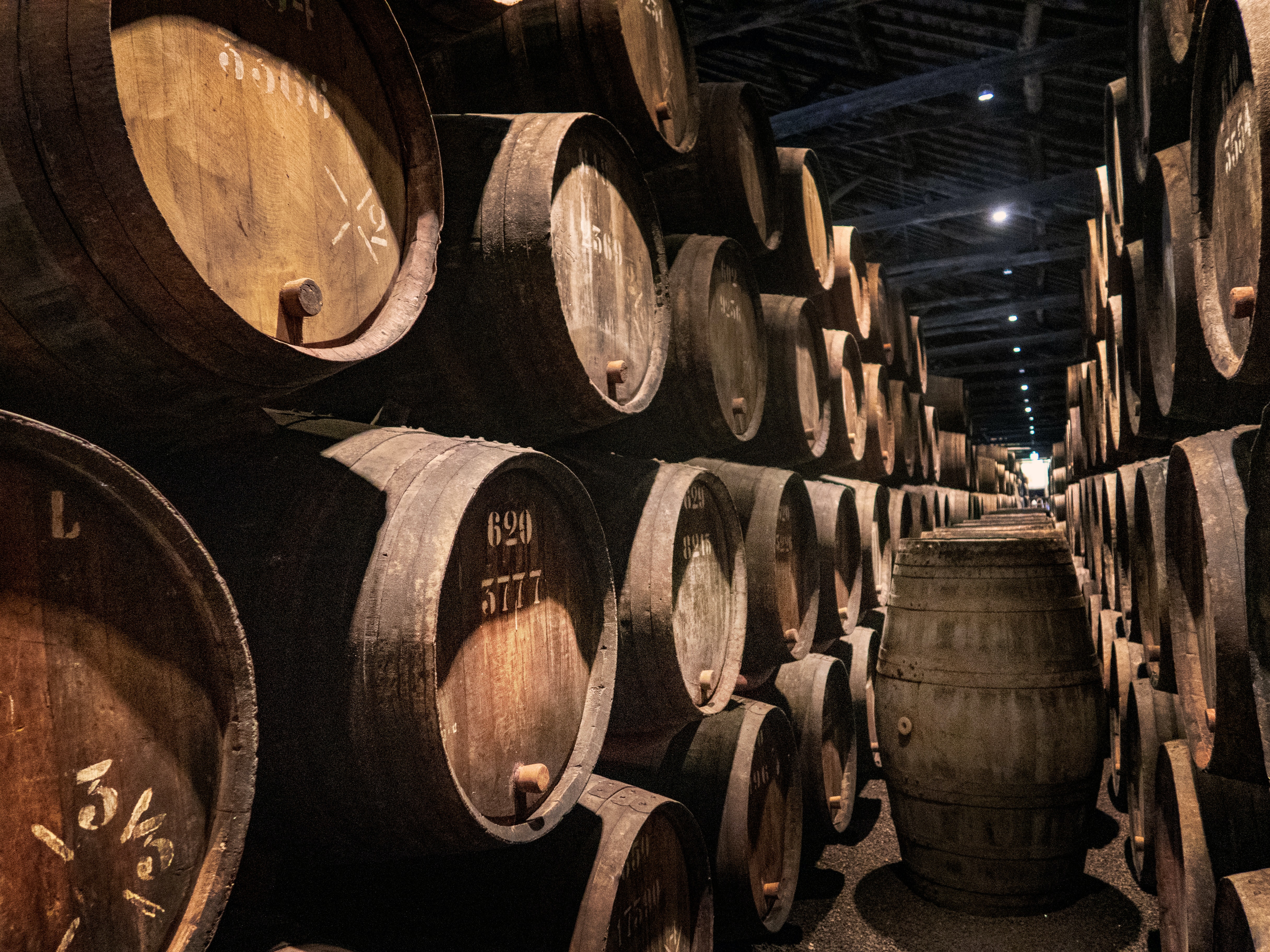 Cellar photo